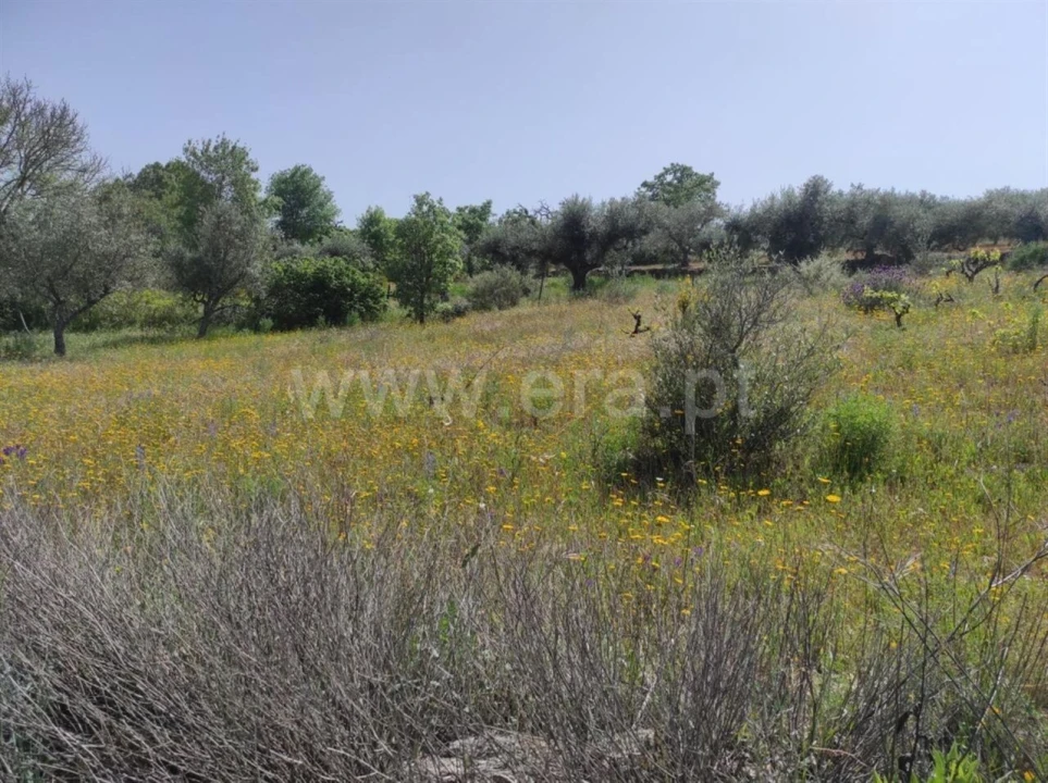 Quinta T0 para Venda em Orca Foto 5