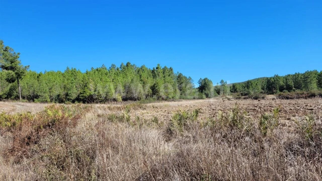 Terreno para Venda em Enxames Foto 2