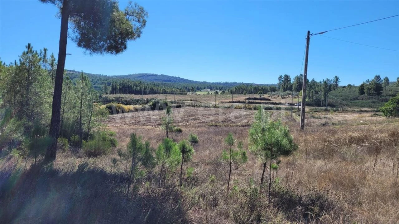 Terreno para Venda em Enxames Foto 1