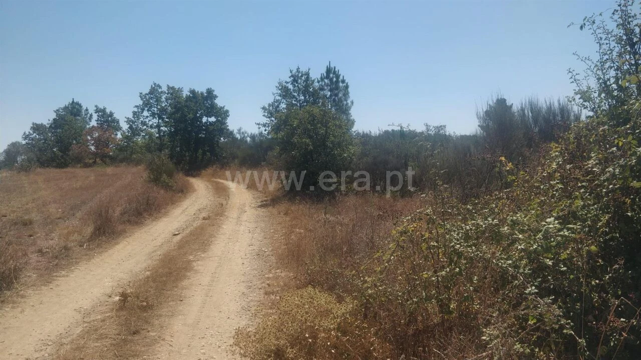 Terreno para Venda em Capinha Foto 5