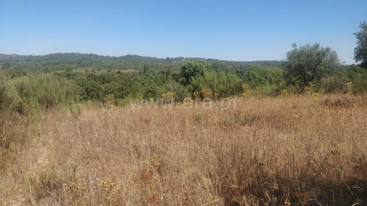 Terreno para Venda em Capinha Foto 3
