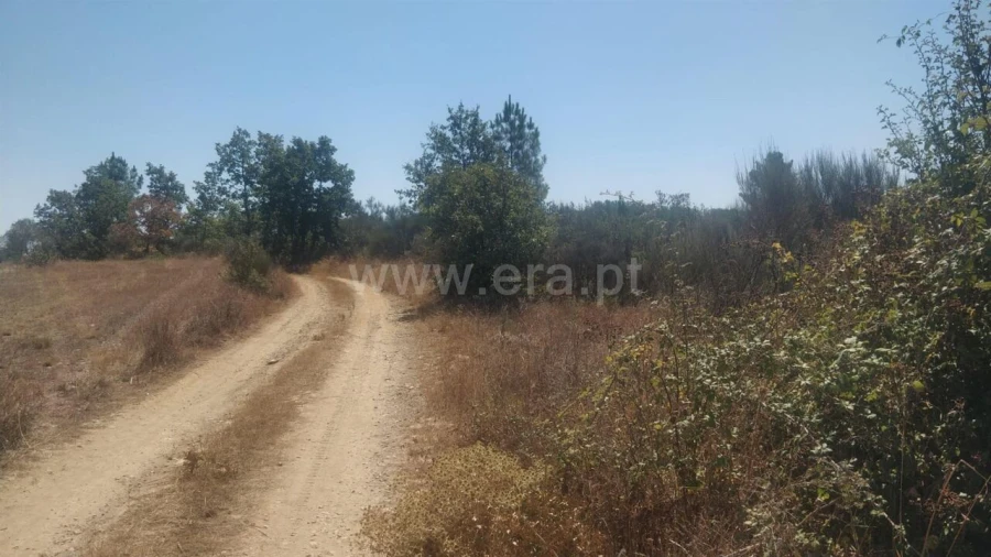 Terreno para Venda em Capinha Foto 5