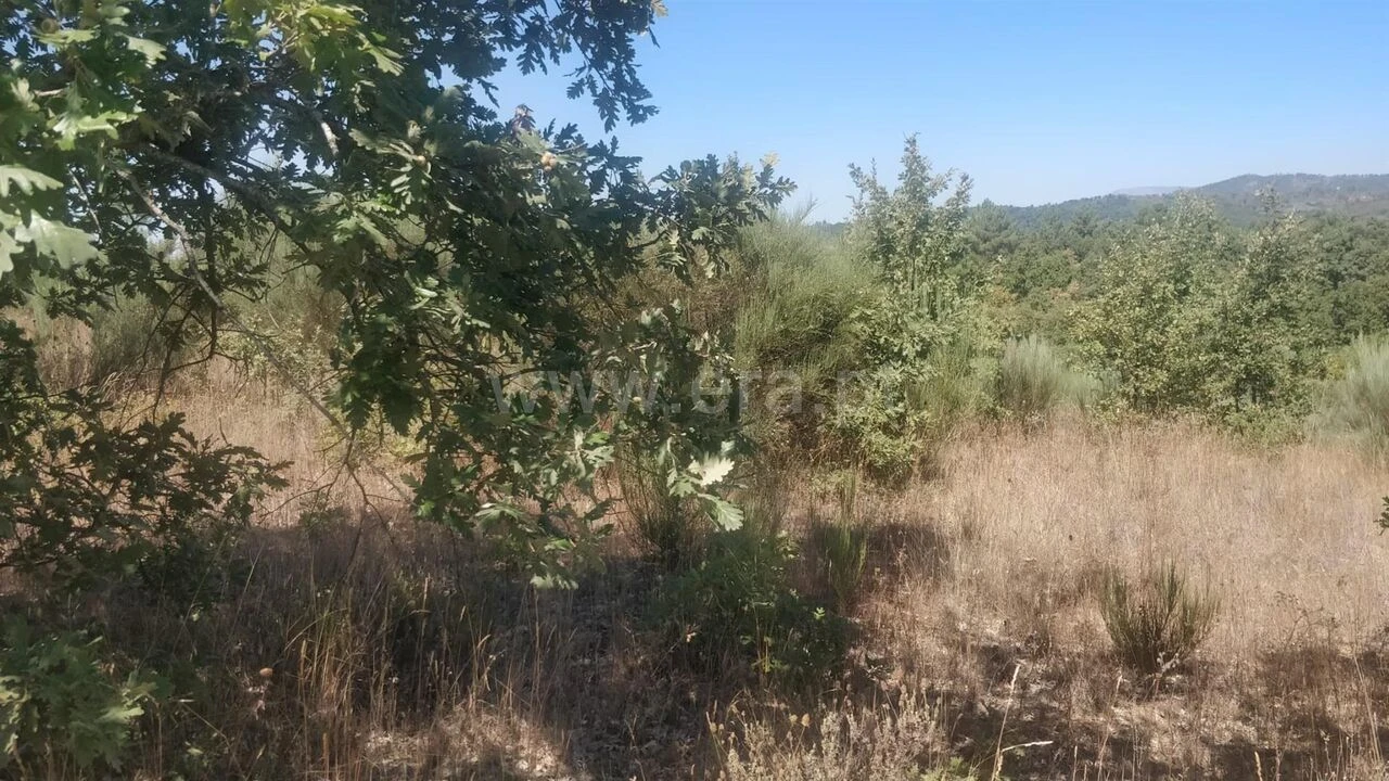 Terreno para Venda em Capinha Foto 1