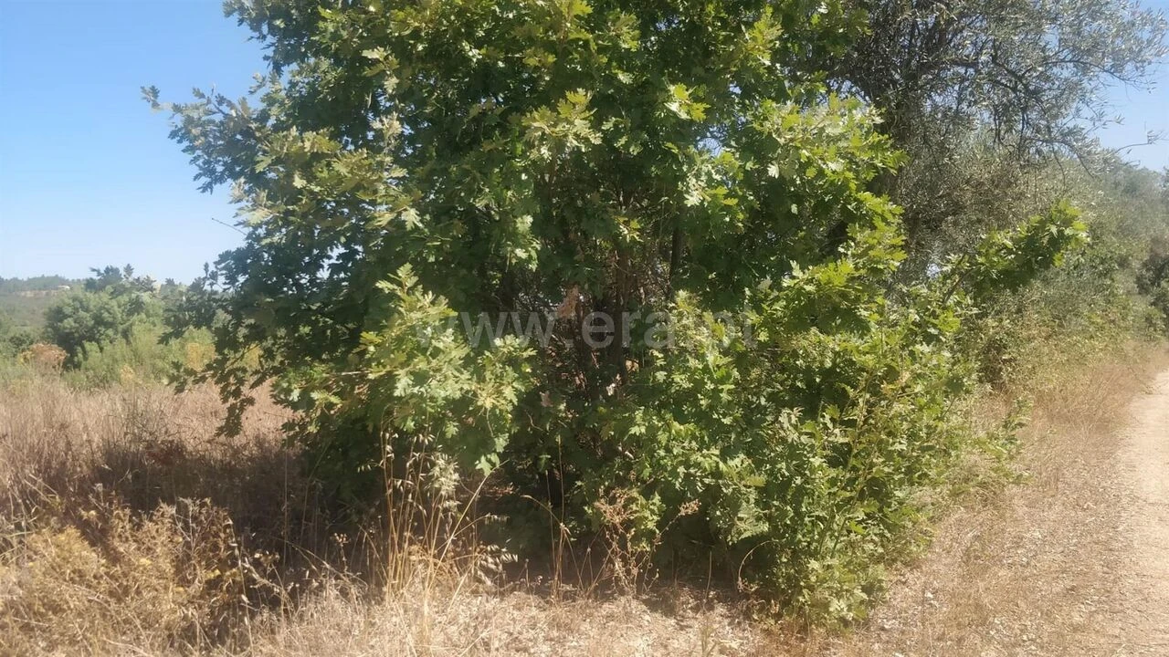 Terreno para Venda em Capinha Foto 4