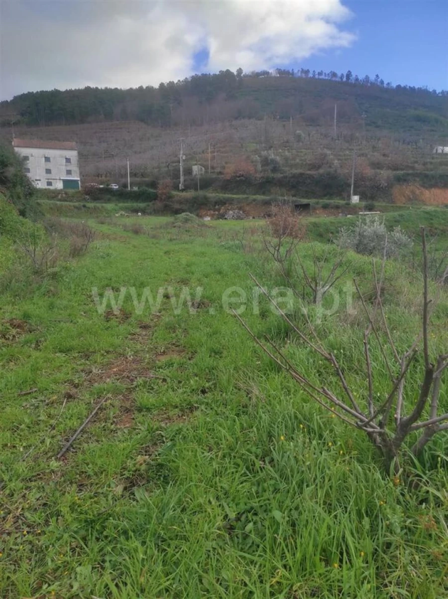 Terreno para Venda em Alcongosta Foto 12