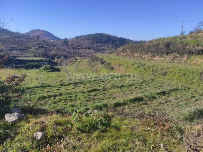 Terreno para Venda em Alcongosta Foto 3