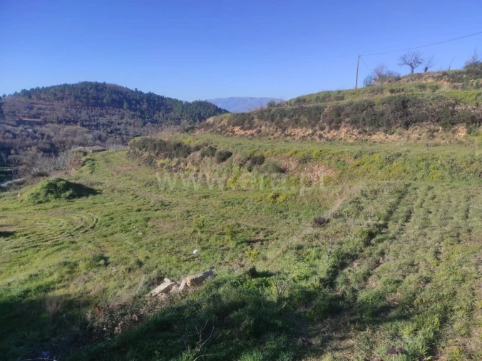 Terreno para Venda em Alcongosta Foto 4