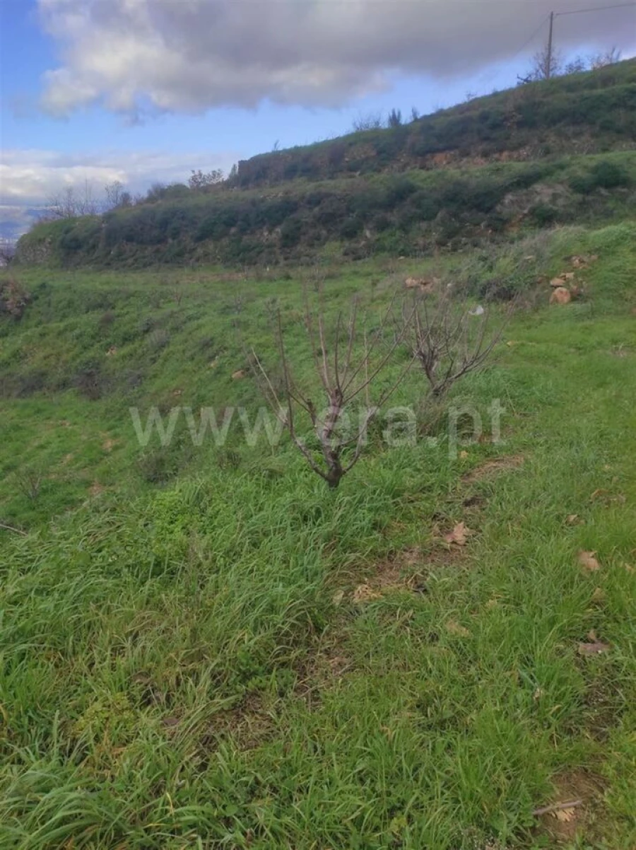 Terreno para Venda em Alcongosta Foto 11