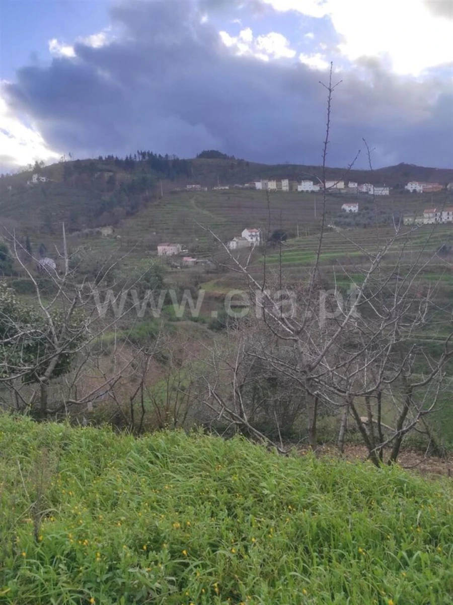 Terreno para Venda em Alcongosta Foto 6