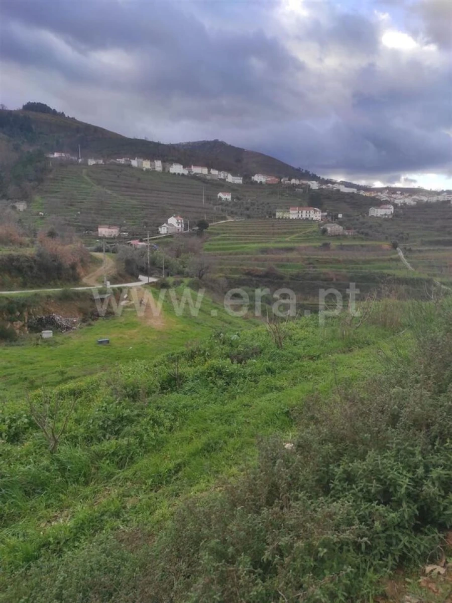 Terreno para Venda em Alcongosta Foto 8