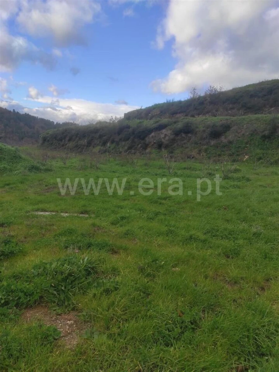 Terreno para Venda em Alcongosta Foto 9