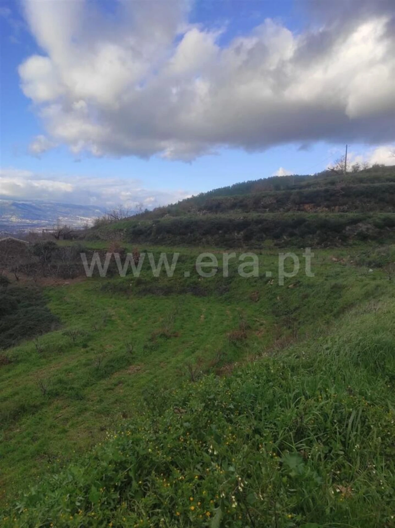 Terreno para Venda em Alcongosta Foto 7