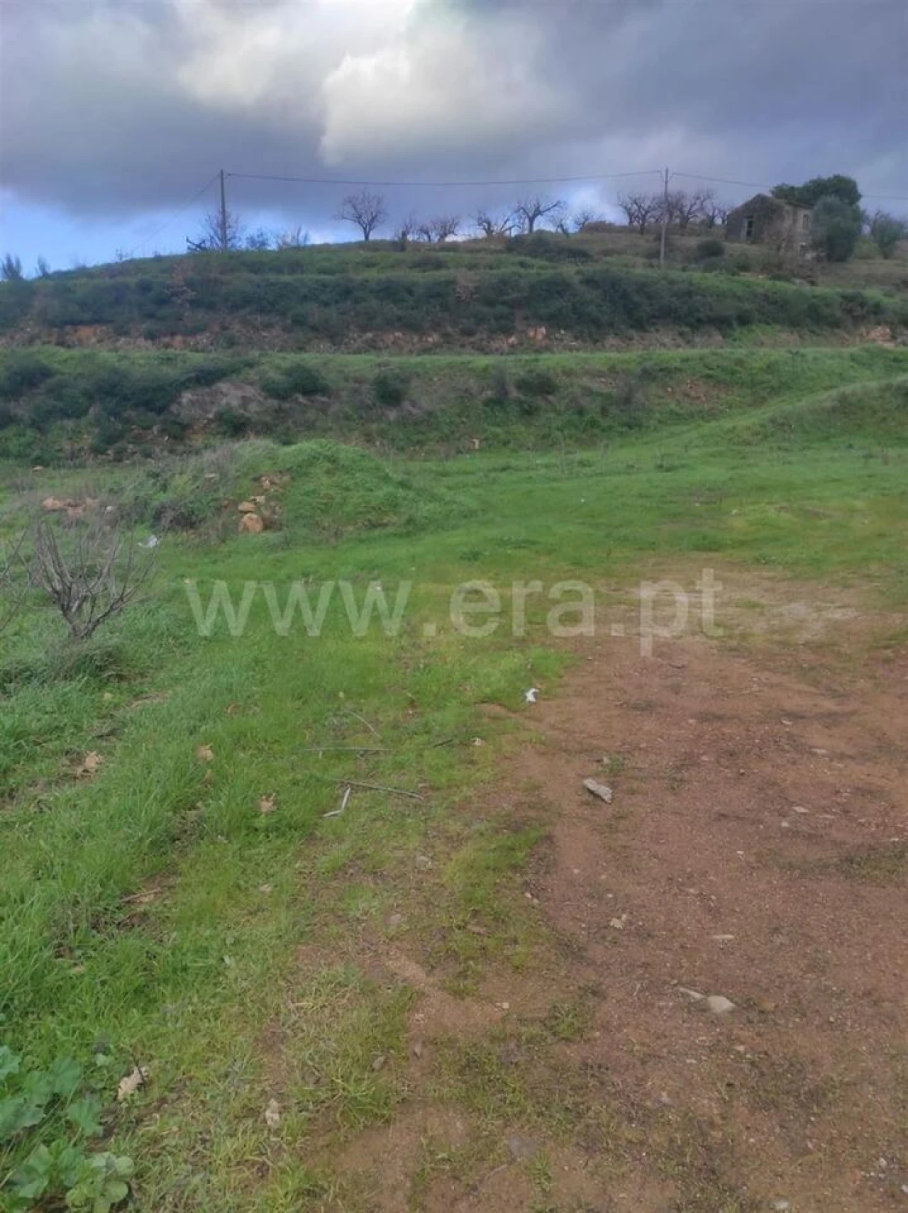 Terreno para Venda em Alcongosta Foto 10