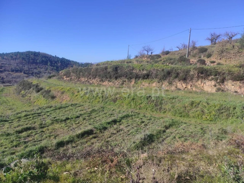 Terreno para Venda em Alcongosta Foto 5