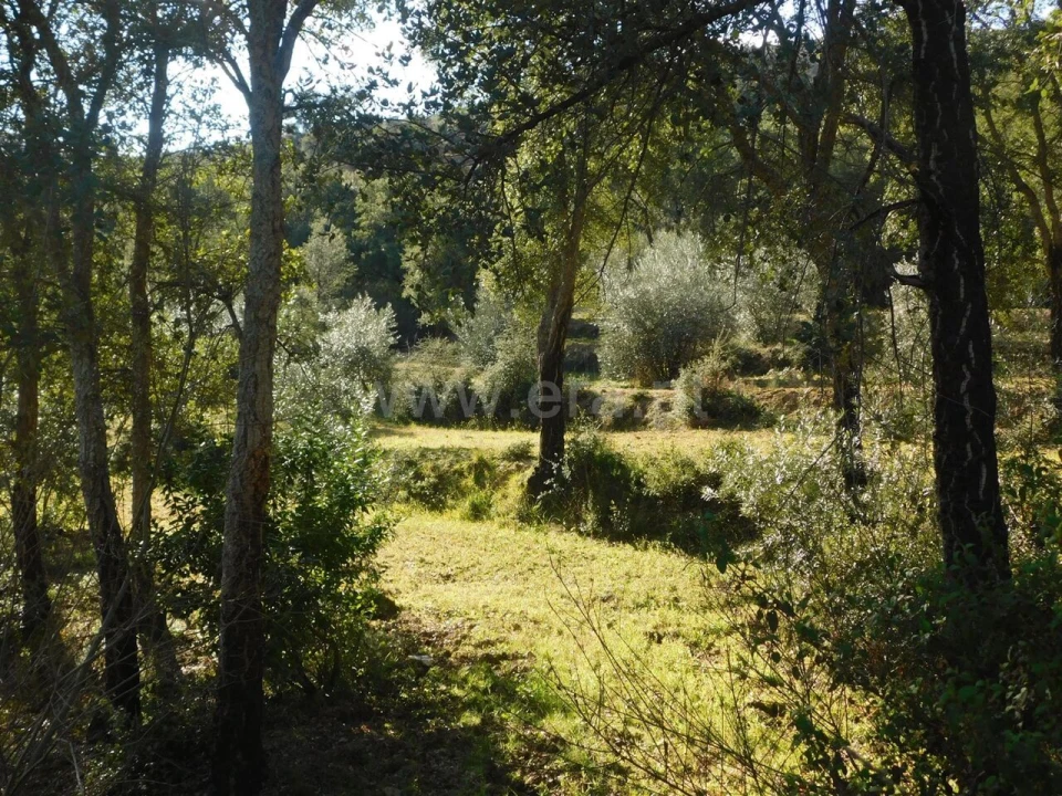 Terreno para Venda em Telhado Foto 11