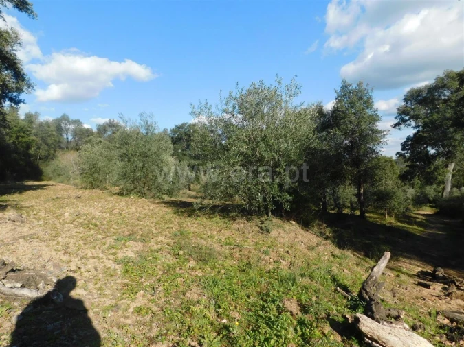 Terreno para Venda em Telhado Foto 2