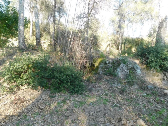 Terreno para Venda em Telhado Foto 17