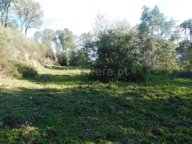 Terreno para Venda em Telhado Foto 10
