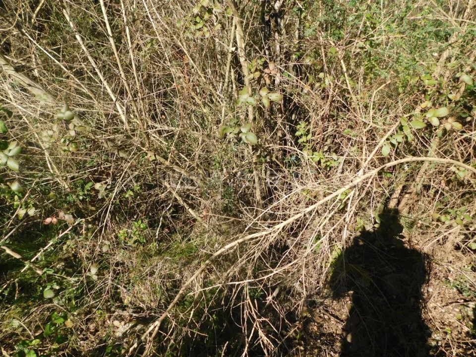 Terreno para Venda em Telhado Foto 9