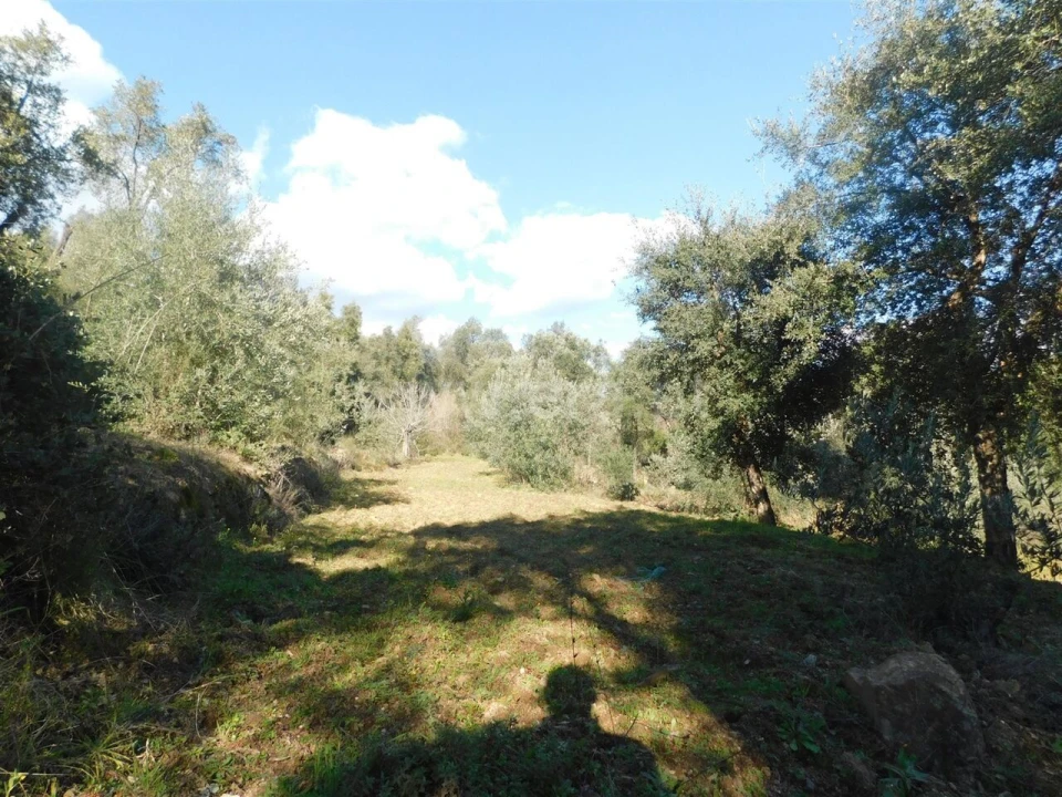 Terreno para Venda em Telhado Foto 3