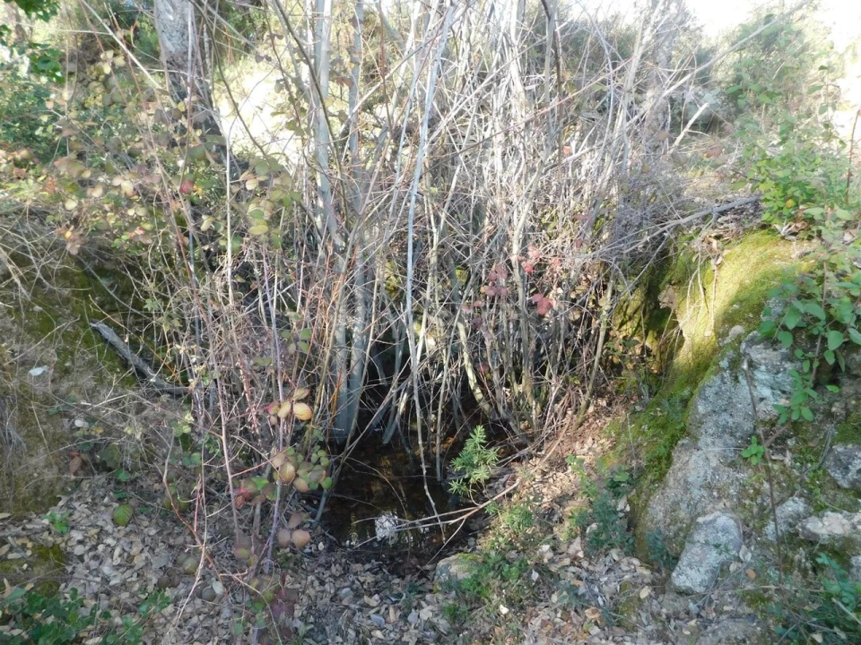 Terreno para Venda em Telhado Foto 16