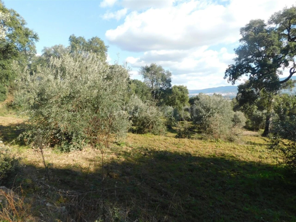 Terreno para Venda em Telhado Foto 6