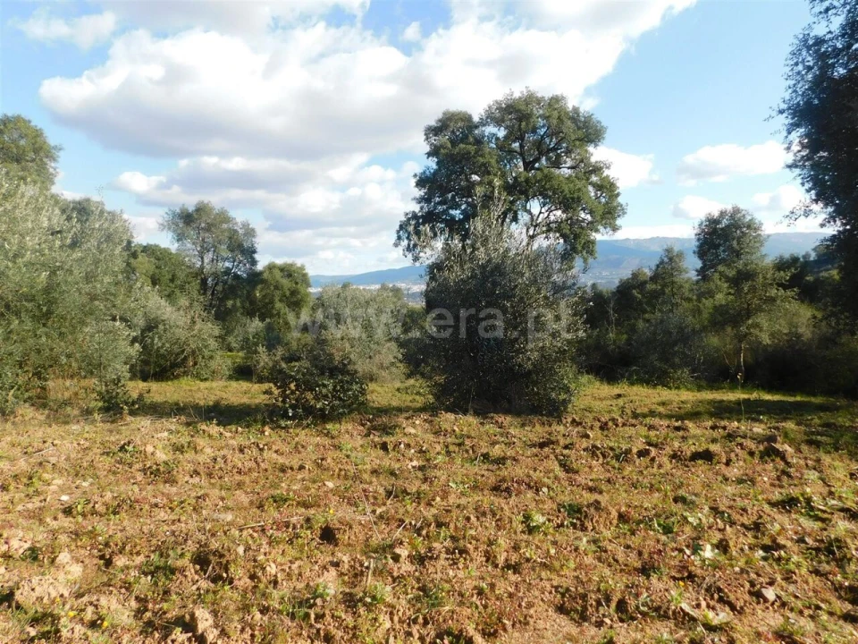 Terreno para Venda em Telhado Foto 4