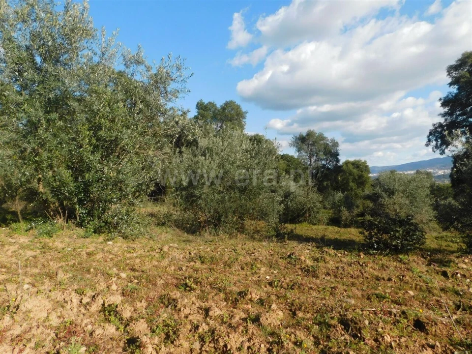 Terreno para Venda em Telhado Foto 5