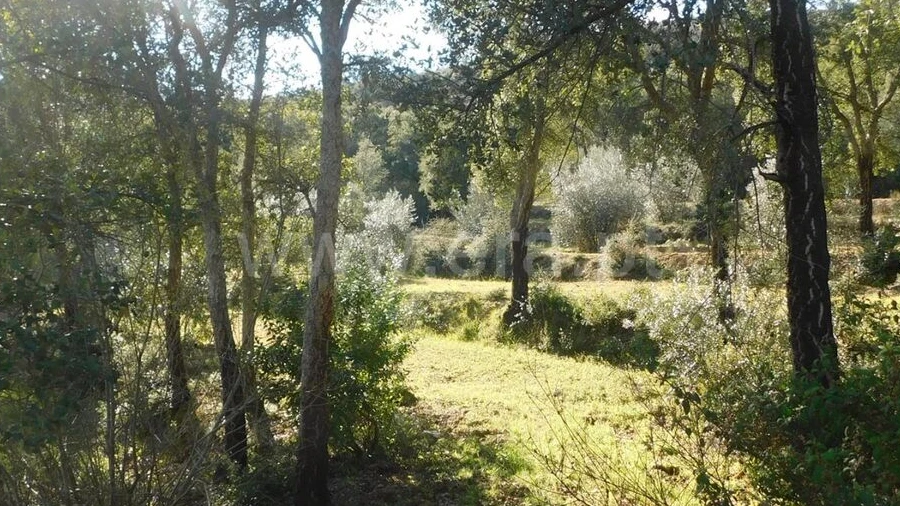 Terreno para Venda em Telhado