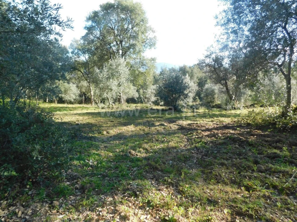 Terreno para Venda em Telhado Foto 19