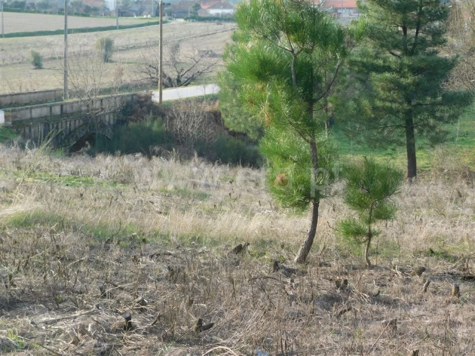 Terreno para Venda em Enxames Foto 4