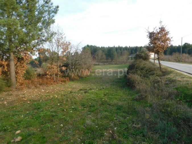 Terreno para Venda em Enxames Foto 5