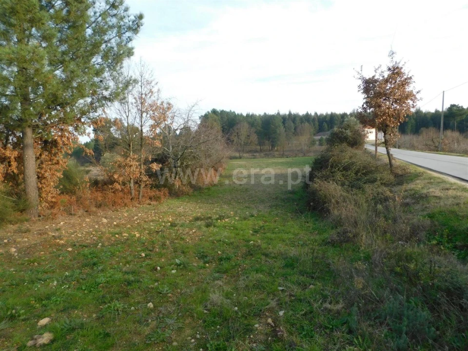 Terreno para Venda em Enxames Foto 5