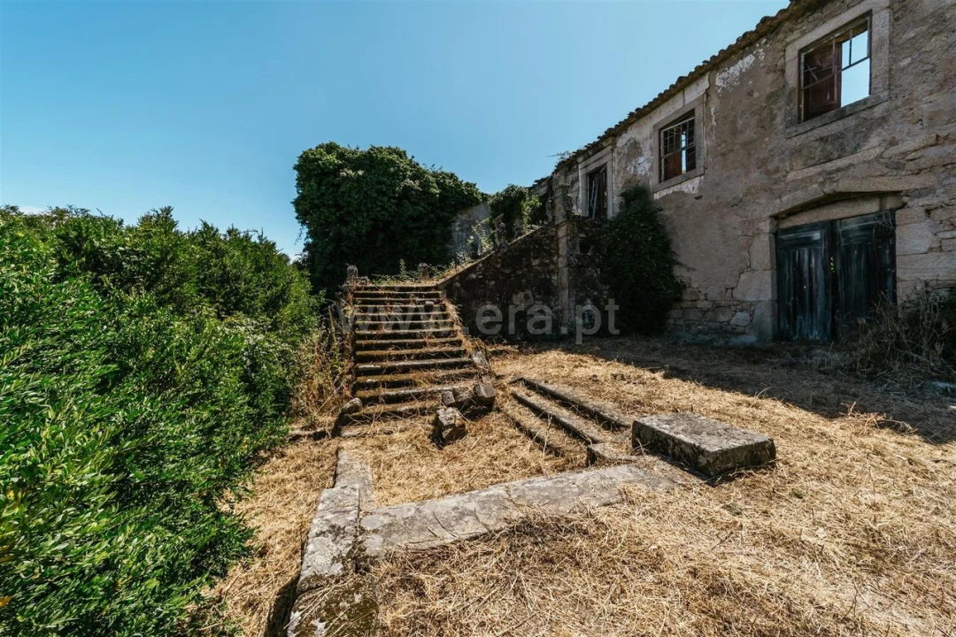 Quinta T0 para Venda em Castelo Novo Foto 17