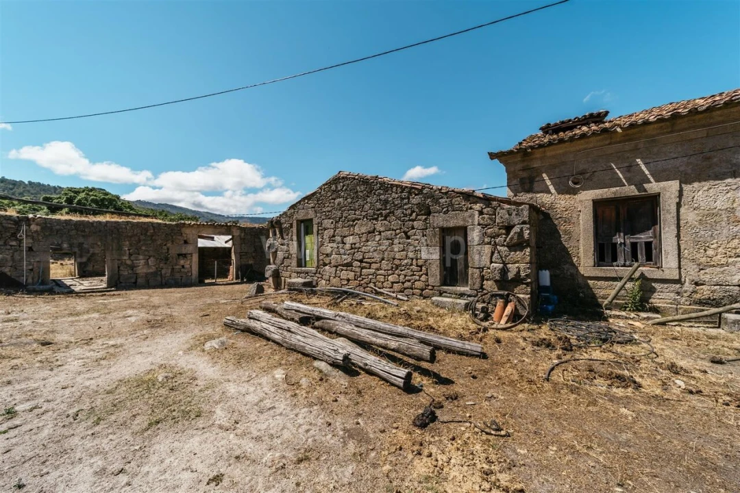 Quinta T0 para Venda em Castelo Novo Foto 11