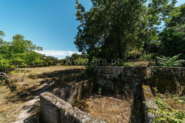 Quinta T0 para Venda em Castelo Novo Foto 20