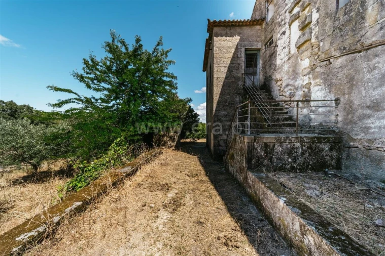 Quinta T0 para Venda em Castelo Novo Foto 16