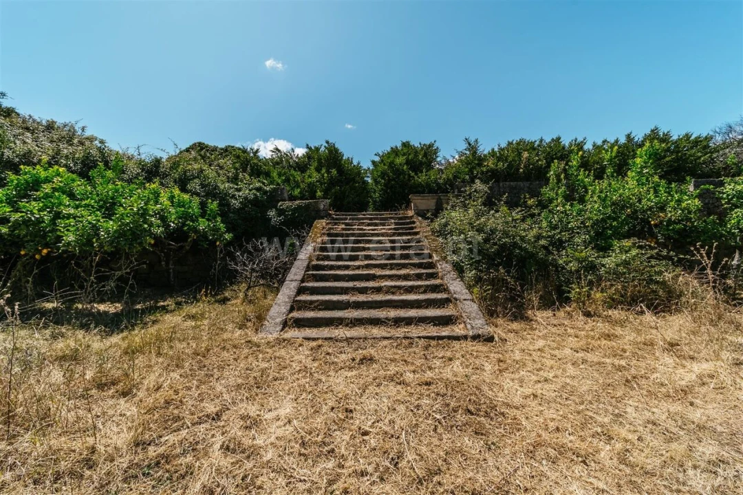 Quinta T0 para Venda em Castelo Novo Foto 19