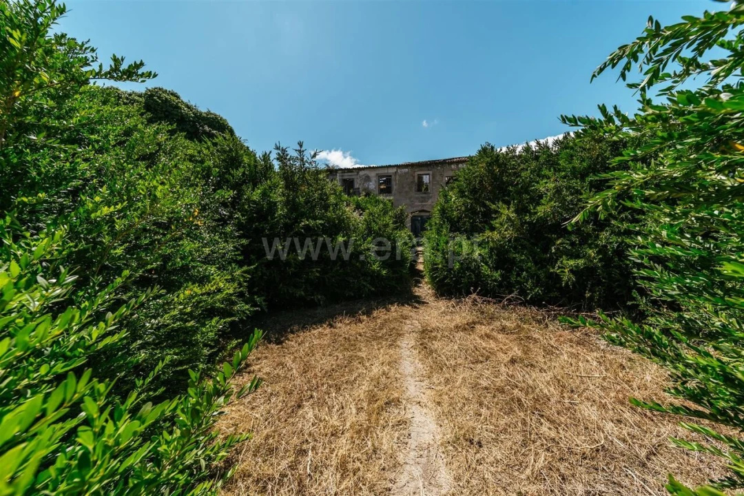 Quinta T0 para Venda em Castelo Novo Foto 18
