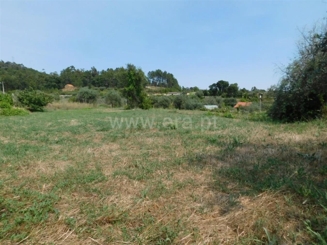 Terreno para Venda em Pero Viseu Foto 3