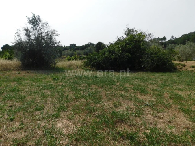 Terreno para Venda em Pero Viseu Foto 2