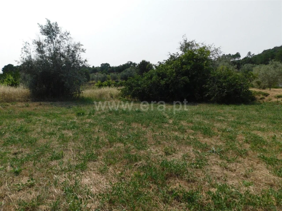 Terreno para Venda em Pero Viseu Foto 2