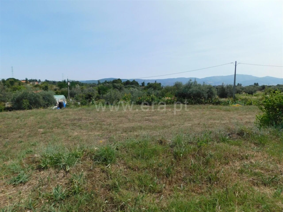 Terreno para Venda em Pero Viseu Foto 1