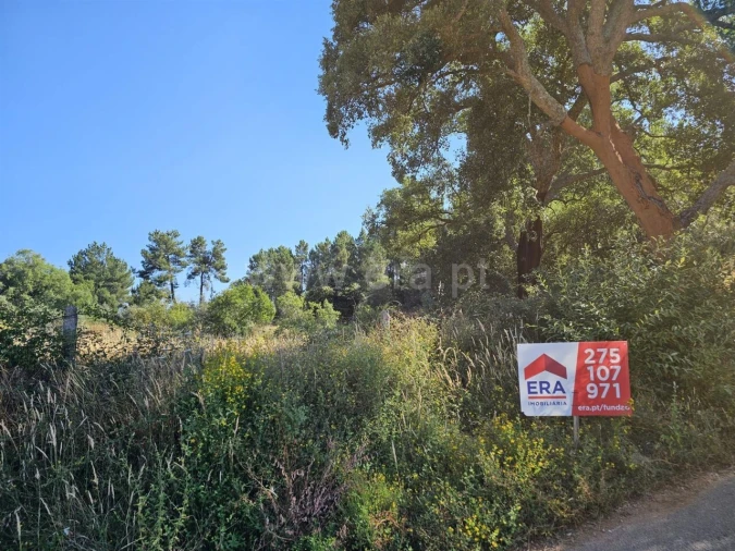 Terreno para Venda em Castelejo Foto 2