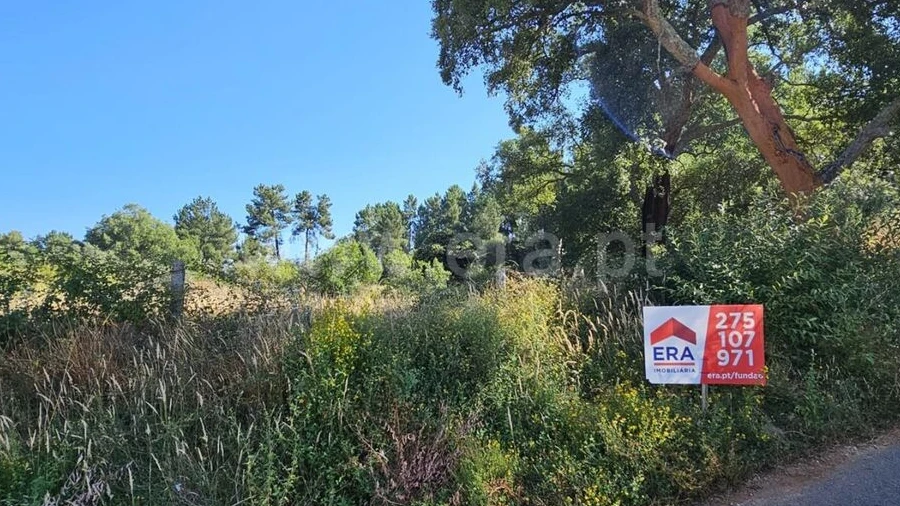 Terreno para Venda em Castelejo