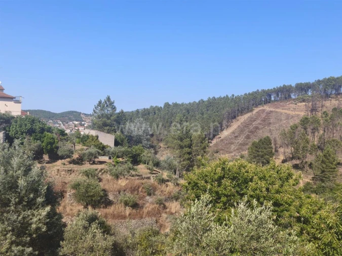 Terreno para Venda em Silvares