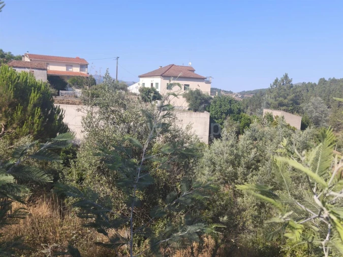 Terreno para Venda em Silvares Foto 3