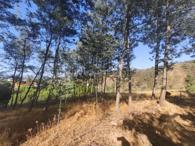 Terreno para Venda em Silvares Foto 8