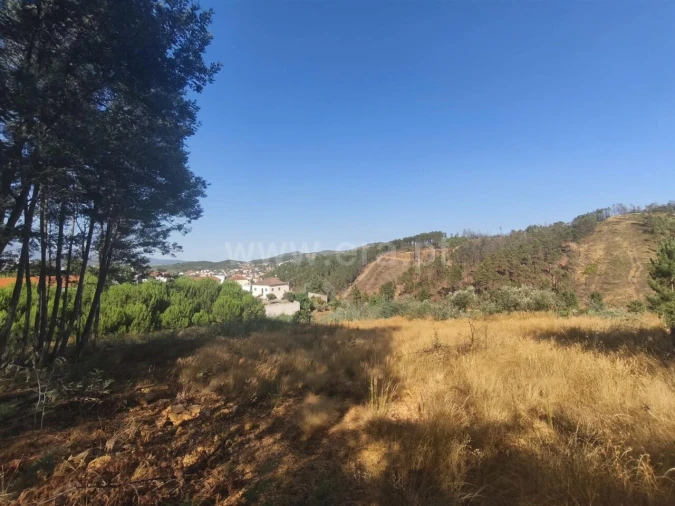 Terreno para Venda em Silvares Foto 7