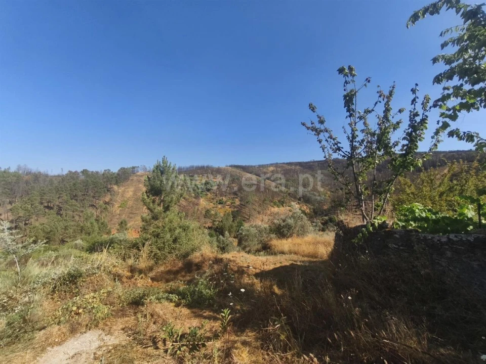 Terreno para Venda em Silvares Foto 5